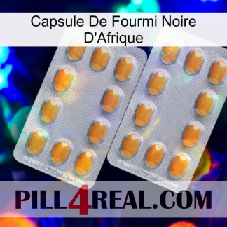 Africa Black Ant Capsule cialis4